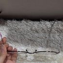 씨티안경 이미지