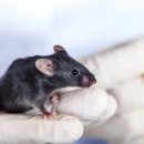 생명과학의 쟁점들 이미지