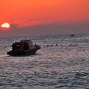 신묘년 새해 찬란한 태양이 솟아오르다.. 해운대 바다 이미지
