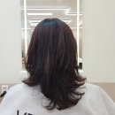 비바헤어스튜디오 네이버블로그