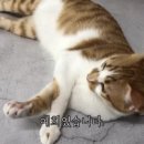 쉽게 그리는 어반스케치 이미지