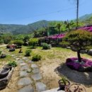 진전면917 이미지