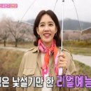 미스미용실 - 서구 망양로 145-4 | 미스미용실