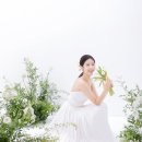 스튜디오장
