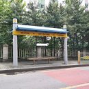 우성동백 이미지