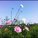 박가활어 이미지