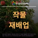 과실작물 재배업 - 산청군 백운로51번길 26 | 과실작물 재배업