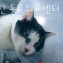 상암 진 동물의료센터 이미지