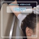 평택마크사 | 평택두피관리 에멜리아 평택에스테틱 두피스케일링 후기