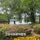 낙민공원 | 일산호수공원 고양국제꽃박람회 후기 서울근교 데이트