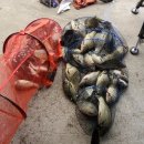 힐링낚시터 이미지