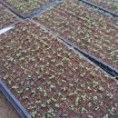 늘봄농장 이미지