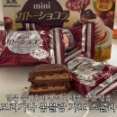 일본여행 기념품 돈키호테 과자 쇼핑리스트 추천 모리가나 몽블랑 가토 쇼콜라 후기