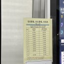 전동차나라 | 아이와 우도 여행｜성산항 출발·요금·전동차·항구 실수까지 솔직후기