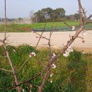 한길농장 이미지