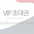 인셀덤 골드라인