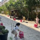 본촌초등학교 이미지