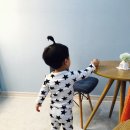 루안몽니스샵 | 광주 몽니스