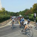 하단동1233 이미지