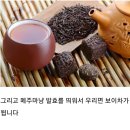 차(Tea)의 종류 이미지