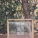 카페그곳 | 구미 형곡동카페 상하이 버터떡 맛집 카페그곳에 후기