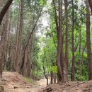 찬물샘약수터 이미지