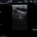 스카이동물병원 이미지