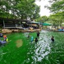 천마아이태권도장 | 여수태권도 여수 천마태권도장, 아이들의 힘이 다시 키우는 곳