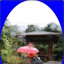 한반도면-8 이미지