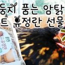 둥지마트 네이버블로그