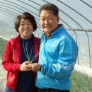 방일농장 이미지