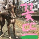 오뜨