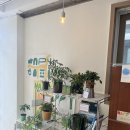 보리수카페 이미지