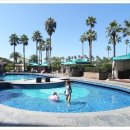 켄싱턴 수영장 이미지