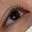 하하 | 내돈내산 매교역 속눈썹펌 맛집! 컬링력부터 지속력까지 항상 만족스러운 속눈썹펌 또간집 쏘아이뷰티