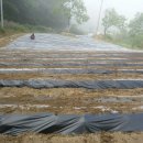 안터사슴농장 이미지