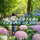41190-01-07-273 | 6월 수국 명소 추천, 서울근교 당일치기 여행지 정리