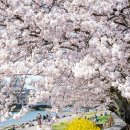 봄나들이~ 가나자와 명품미술관& 온천기행 4일(3.23-26 목-일) 이미지