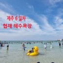 좋은 가족단위 해수욕장 / 제주도민상회 본점 주소 위치 내돈내산 솔직후기 협재해수욕장근처 흑돼지 맛집