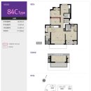 금성백조예미지 이미지