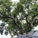 제내2리 이미지