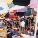 풍물기행 이미지