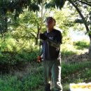 선옥농장 이미지