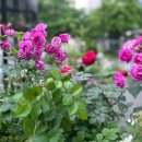 케이크 선물 이미지