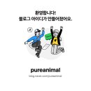 순수동물병원 이미지
