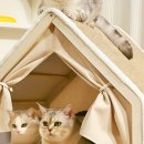 묘하우스 | 고양이 집사 주목! 라피아노 반려동물 대형 고급빌라 스크래쳐 펫하우스 솔직 후기 🐾