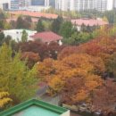 브런치로뎀 이미지