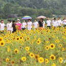 산외면행정복지센터 이미지