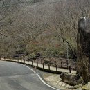 하늘재길 이미지