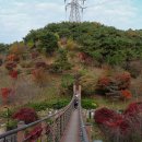 삼선산 수목원 | 대전근교여행 충남 당진 가볼만한곳 당진 삼선산 수목원 단풍 후기
